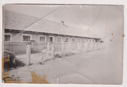 MTSz sertés istálló